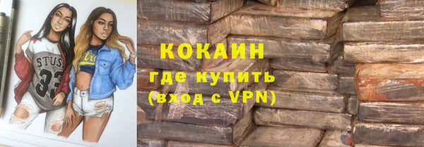 прущие грибы Абинск