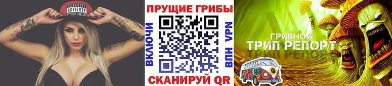 купить цена Кадников Псилоцибиновые грибы MAGIC MUSHROOMS